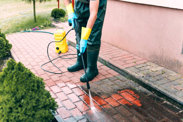Animal Enclosure Cleaning in Lawrenceville, NJ